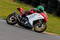 PJ-Motorsport-2019;anglesey-no-limits-trackday;anglesey-photographs;anglesey-trackday-photographs;enduro-digital-images;event-digital-images;eventdigitalimages;no-limits-trackdays;peter-wileman-photography;racing-digital-images;trac-mon;trackday-digital-images;trackday-photos;ty-croes